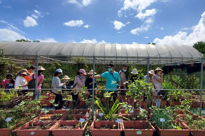 汪汪地瓜園。 圖:北海岸及觀音山國家風景區管理處/提供