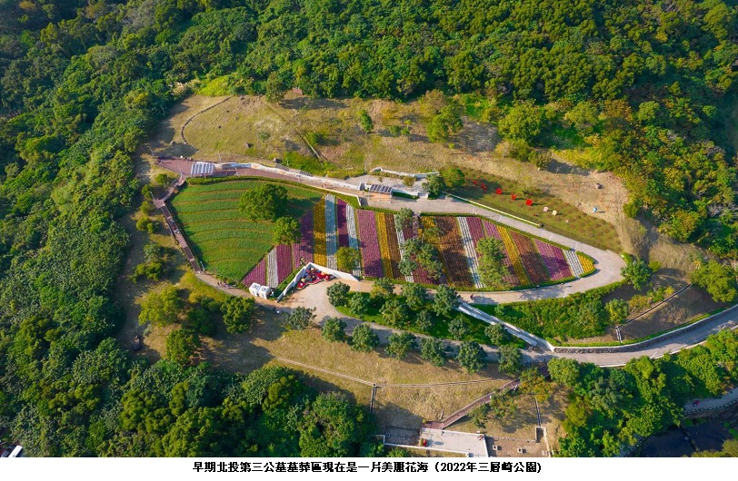 可能是戶外、樹和文字的圖像