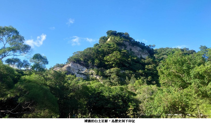 可能是大自然、天空和樹的圖像