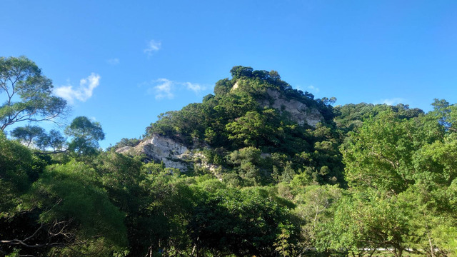 三層崎的山崙已慢慢復育，仍可看到裸露的白土岩層.jpg
