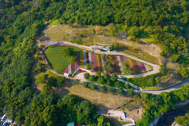 卸下階段性任務，成為市民最佳戶外休閒去處.jpg