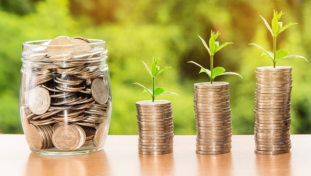 money-g4652b7332_640.jpg