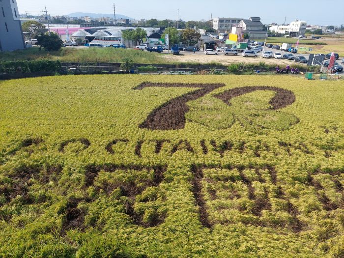 四健會70周年彩繪 稻田遍地開花慶豐收