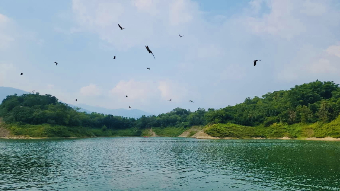嘉義縣大埔鄉曾文水庫秋冬限定風景 成群老鷹翱翔天際