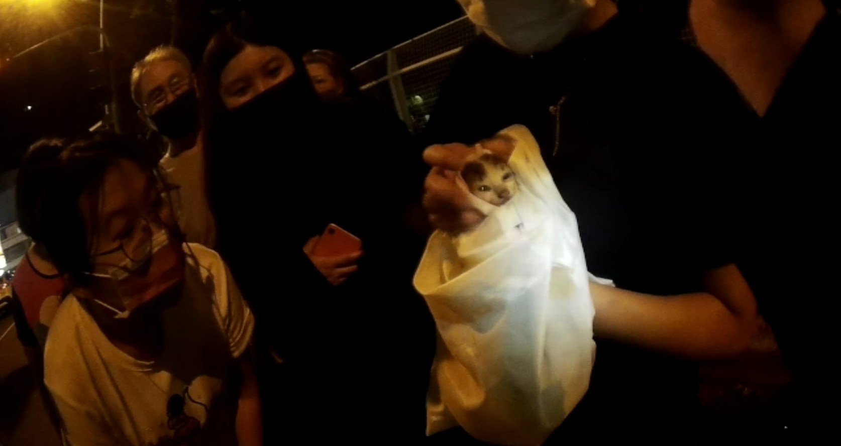 圖片說明:臺中市政府警察局第二分局永興派出所日前協助民眾救出受困車內白虎斑幼貓。(記者林㤈輝翻攝)
