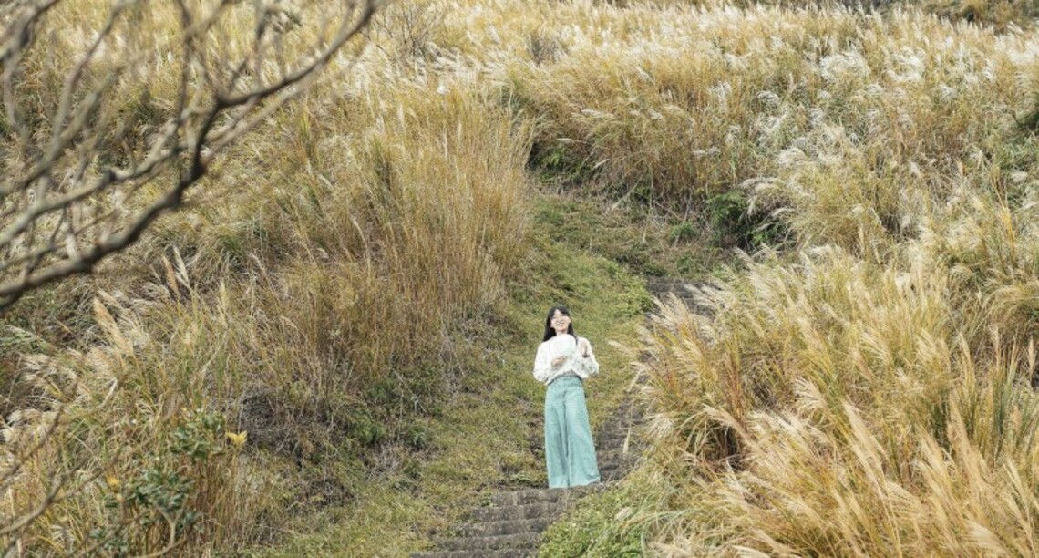 秋日限定美景 尋訪縱走路線絕美芒花海
