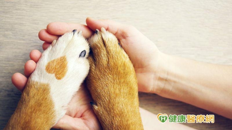 殯儀館「常駐治療犬」 專家:與狗共處可減輕心理傷痛