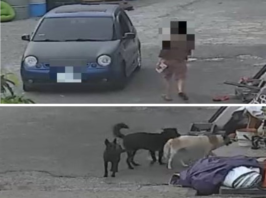 ▲警方發現陳姓藥頭住家經常有人駕車短暫到訪即離開,門外豢養三隻護衛犬 (圖/台中市警察局 提供)