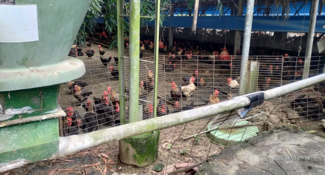 食安政府嚴格把關 宣導正確安全用藥 動保處源頭抽查全數合格