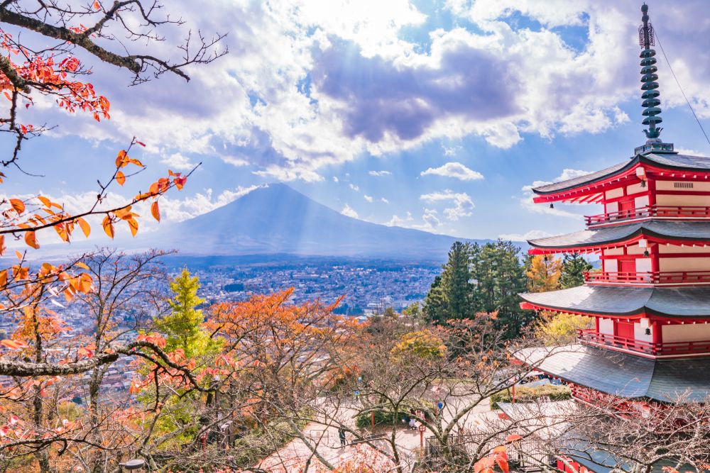 Japanese,Landscape,,The,Arakurayama Segenkouen,In,Autumn,Colors,With,Fujiyama