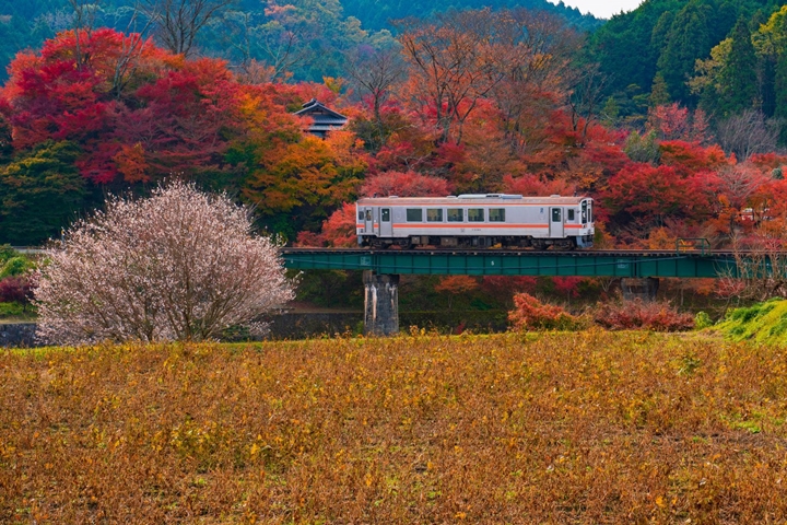深遊日本三重 秘境紅葉鐵道沿線山巒溪谷絕景相伴