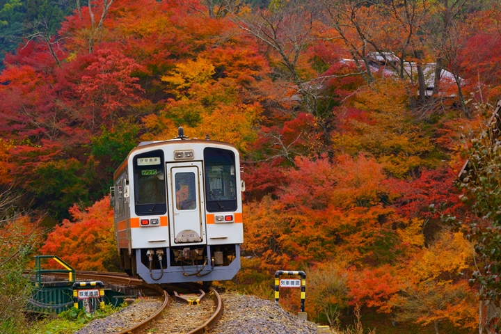 深遊日本三重 秘境紅葉鐵道沿線山巒溪谷絕景相伴