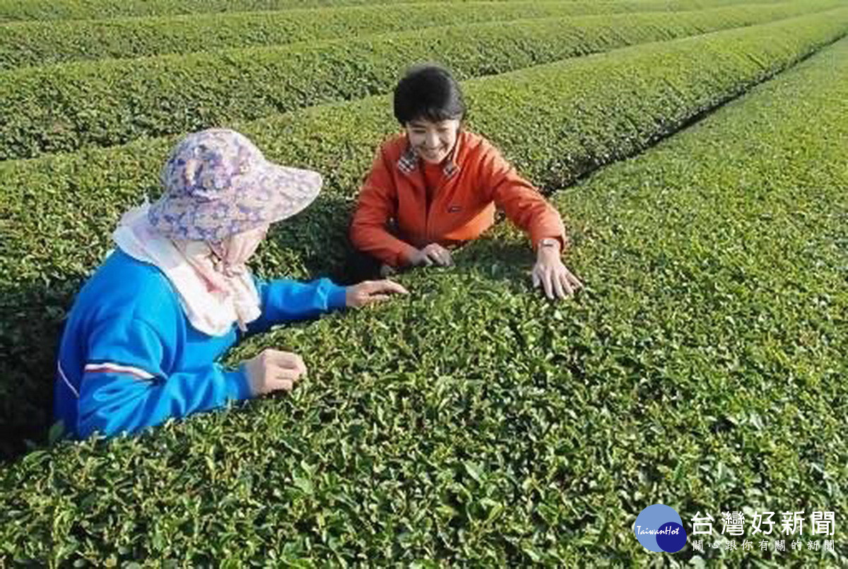 許淑華20年來都在南投深耕。(許淑華競總提供)
