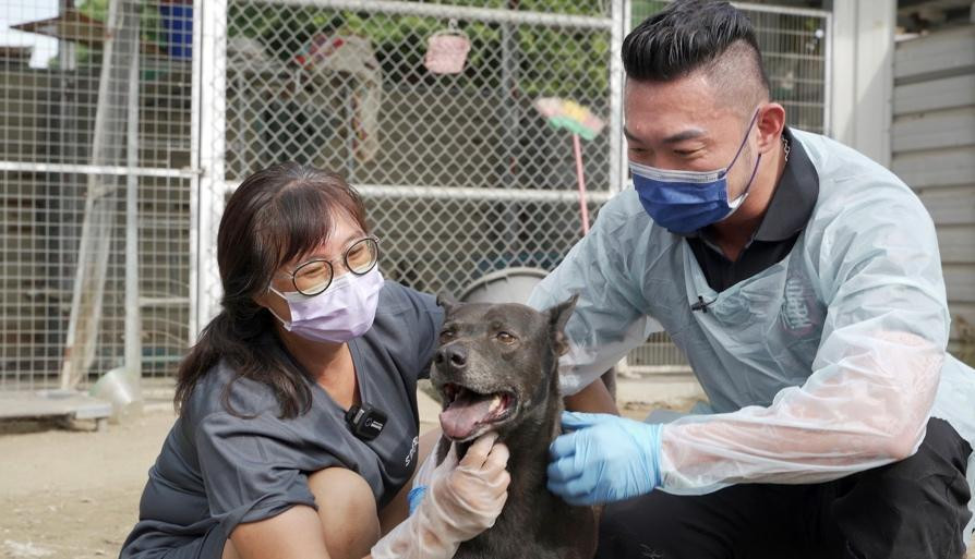 獸醫班森檢查毛家人園區狗狗健康狀況。(圖/糧舍商號提供)