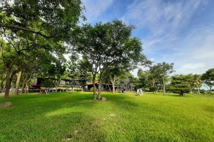 秋冬小旅行／把握「台灣好行－鹿野慢漫遊」好康優惠遊台東