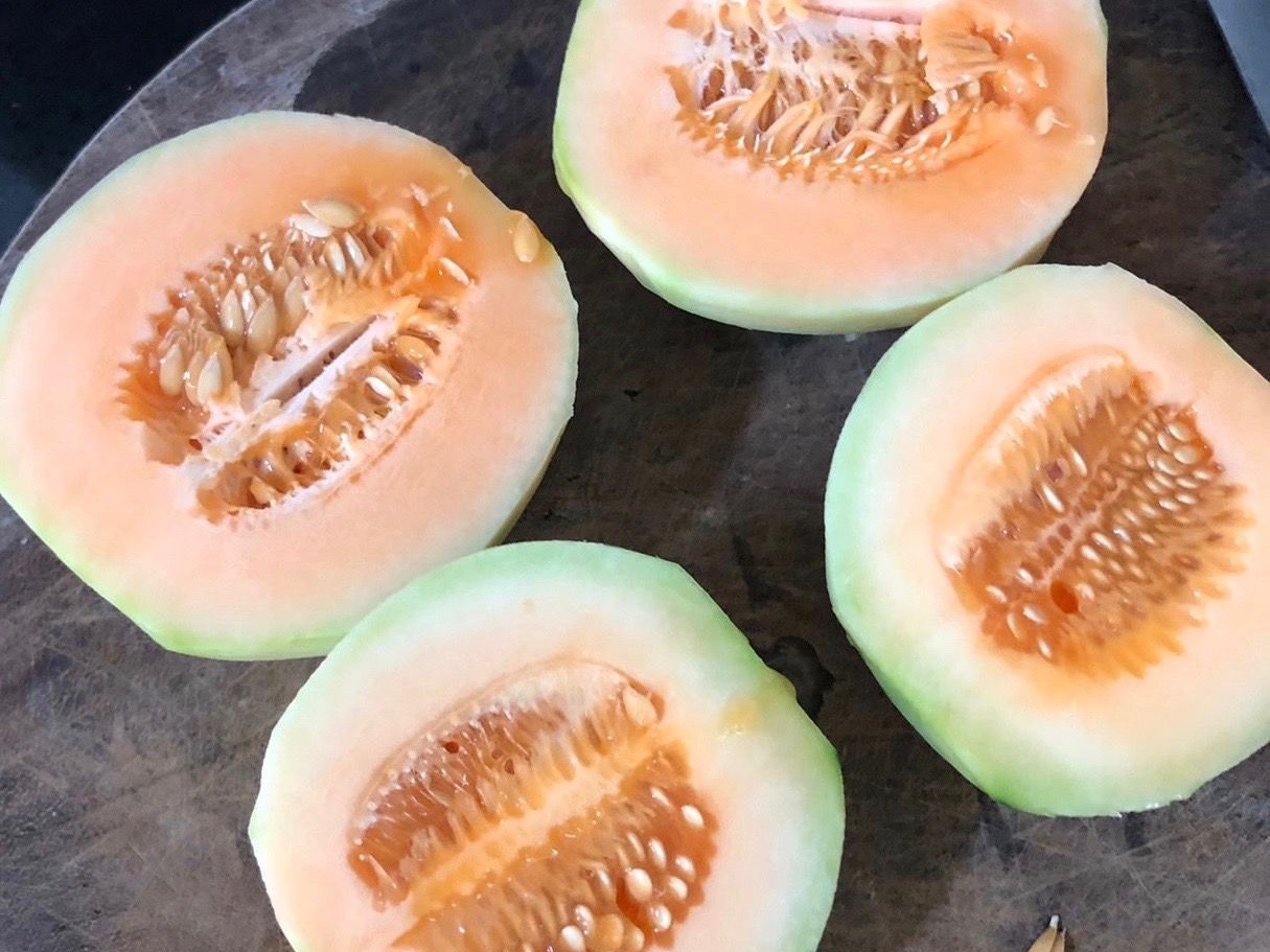 哈密瓜原來可以入菜?一株一果培育下,提早被疏果的瓜可以這樣吃!