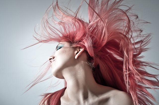 pink-hair-g0c7e3fe95_640.jpg