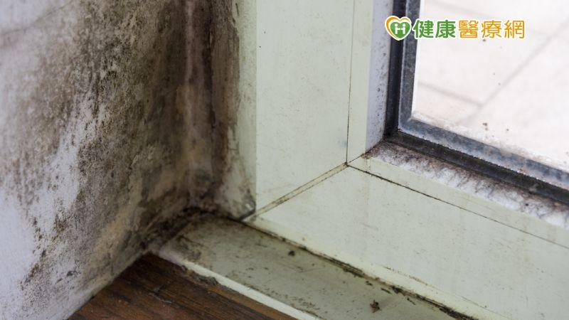 家裡發霉導致死亡! 2歲童罹患呼吸道疾病喪命