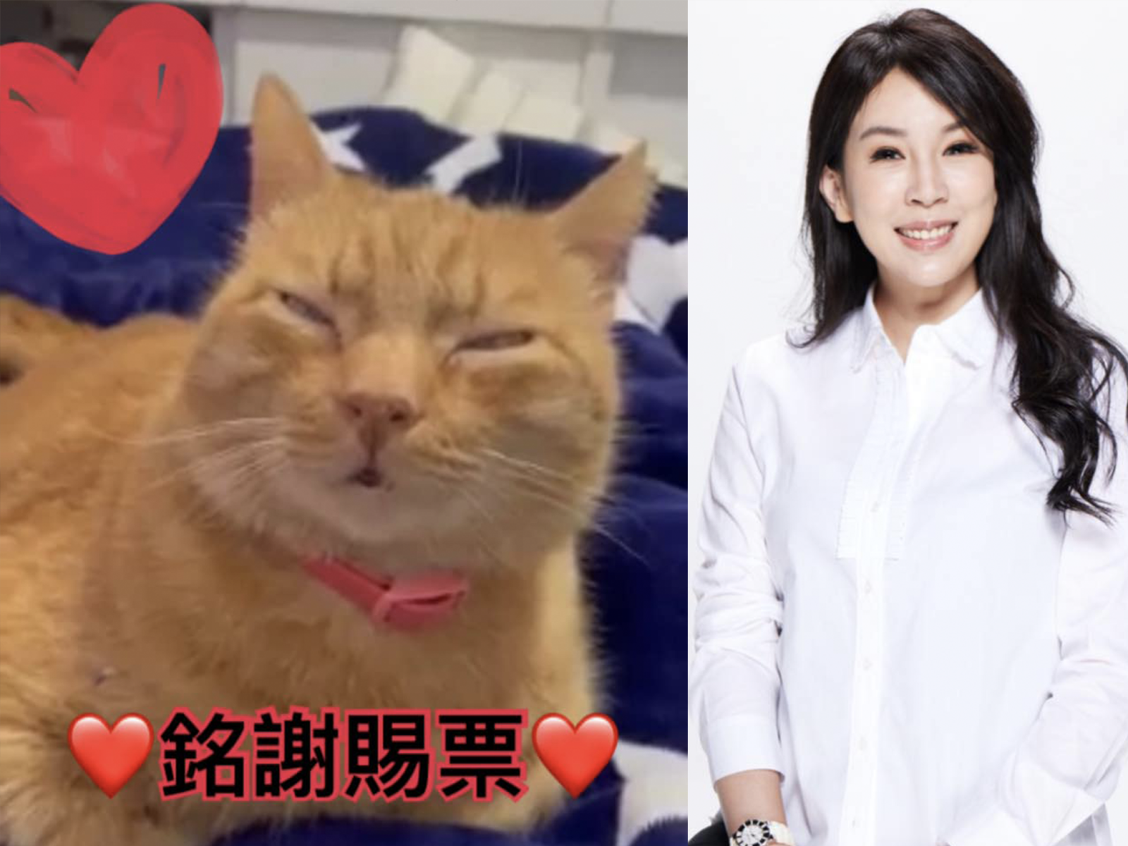 曾姸潔發文欣慰桃園綠地變藍天，盼「張院長上任後可以把所有弊案翻出來」。翻攝曾姸潔臉書