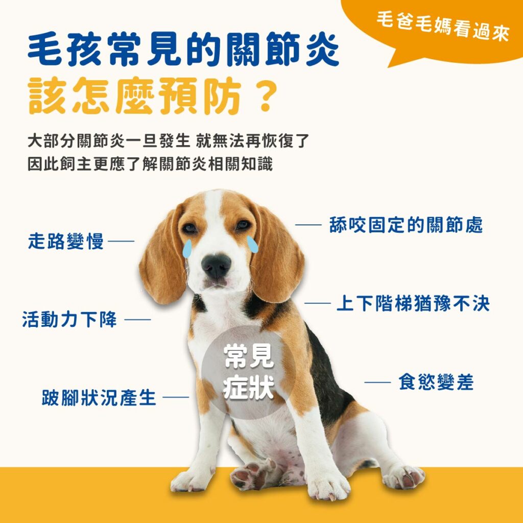 毛骨力