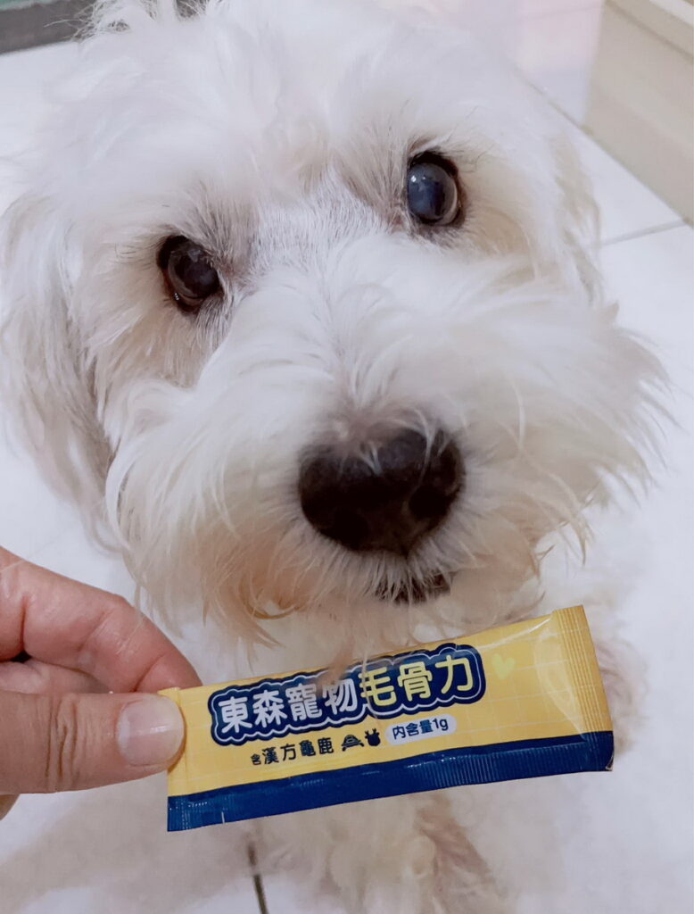 毛骨力