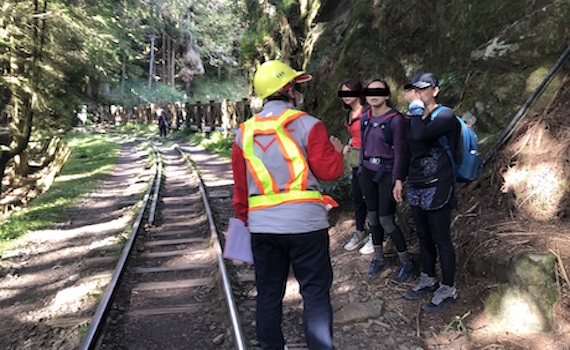 違規行走阿里山森林鐵路 最高將罰新台幣5萬元