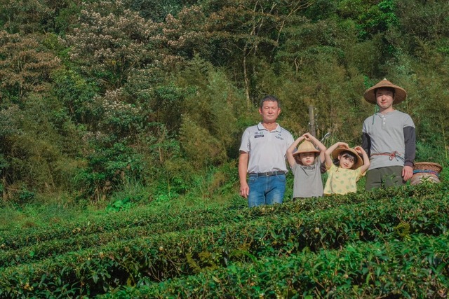 冬季文山包種茶市級評鑑由坪林區興鴻茶莊拿下特等獎.jpg