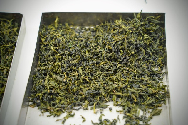 在農友細心的製作下，使茶菁的水分順利走水.jpg