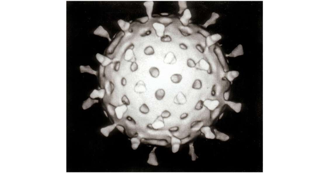 北京強調:新冠不得以無核酸檢測結果等推諉.拒診.延誤