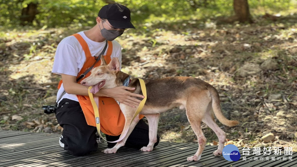 ▲高市持續針對各處流浪犬熱點加強族群管控作業。（圖／記者 許高祥 翻攝）