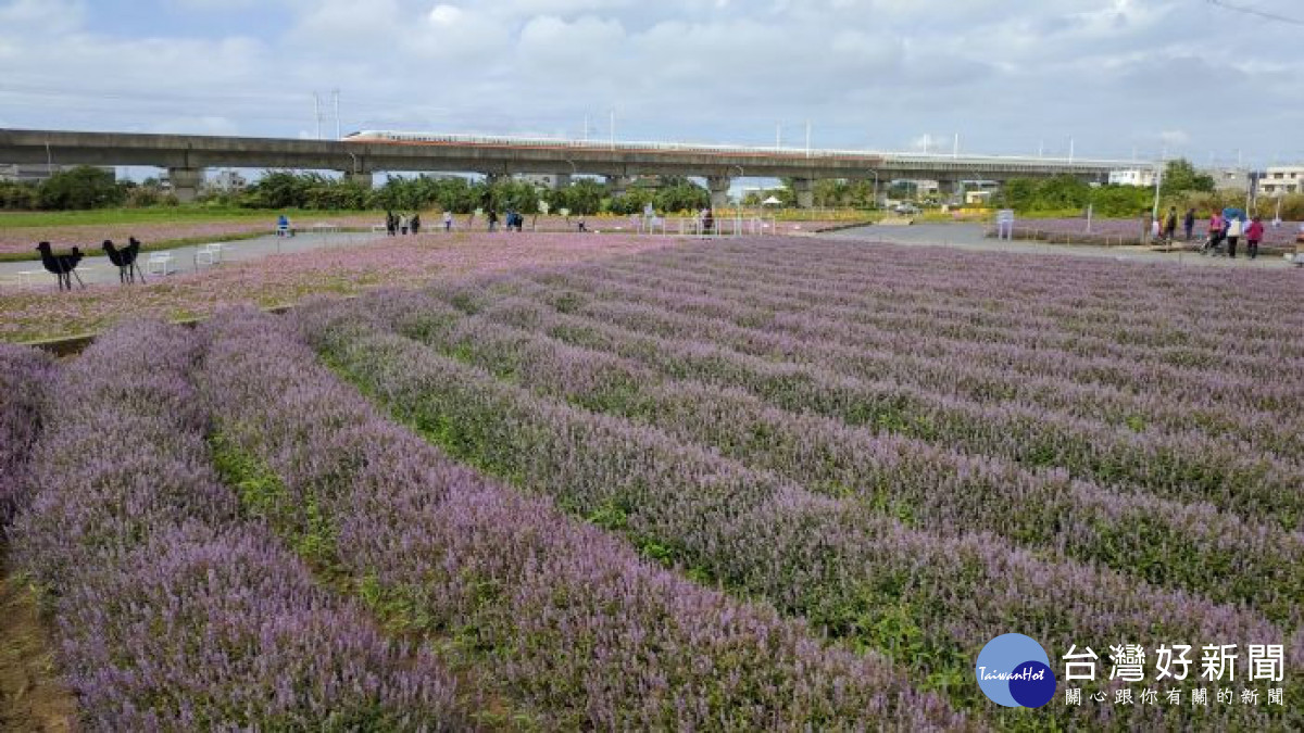 市府持續配合農糧署辦理「綠色環境給付計畫」,全國統一申報期自112年1月3日至2月4日止。