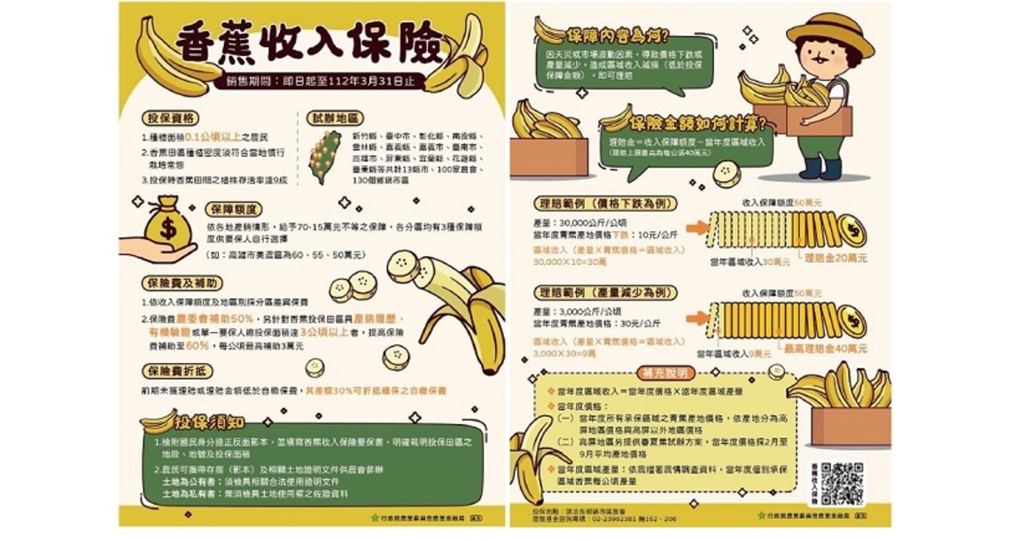 112年香蕉收入保險屏東高雄有春夏蕉試辦方案    蕉農看過來