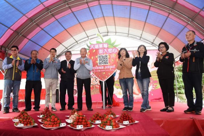大湖草莓揭幕開園 產季持續到明年4月