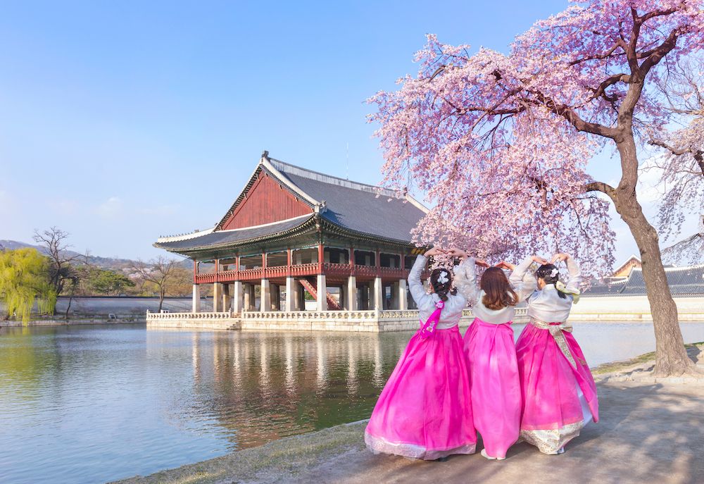 Gyeongbokgung,Palace,With,Korean,National,Dress,And,Cherry,Blossom,In