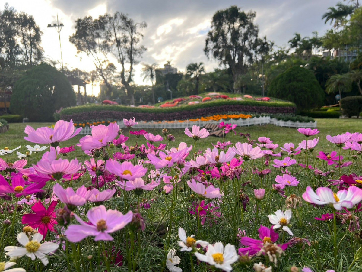 (圖/台北市公園處提供)