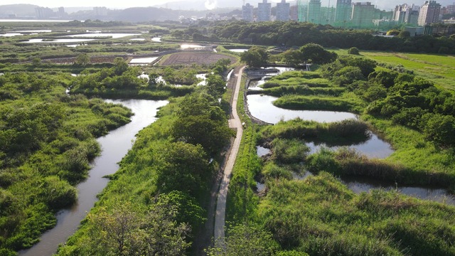 關渡自然公園.jpg