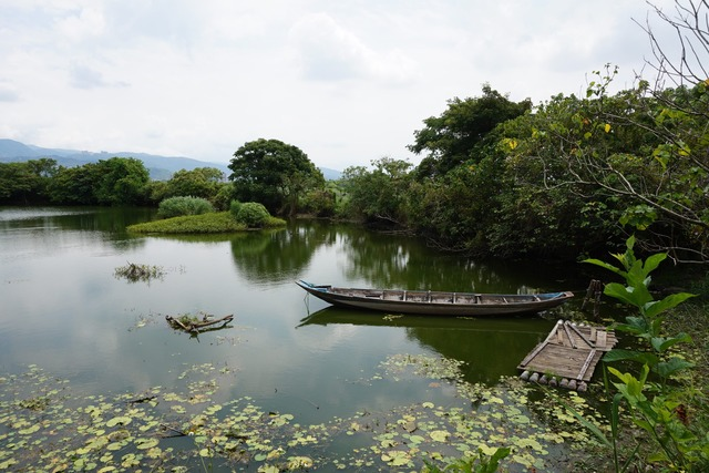 月池風光.jpg