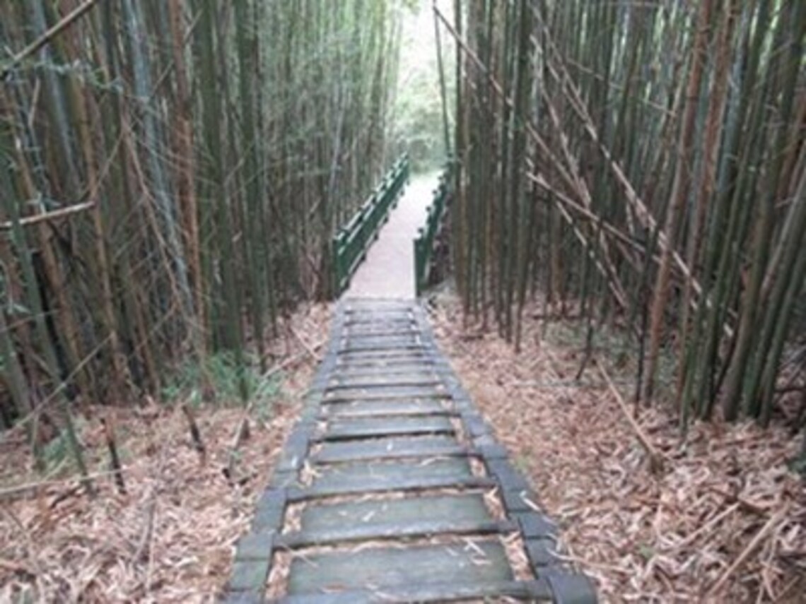 搭配台中國際花毯節 農業局推順遊山城休閒園區