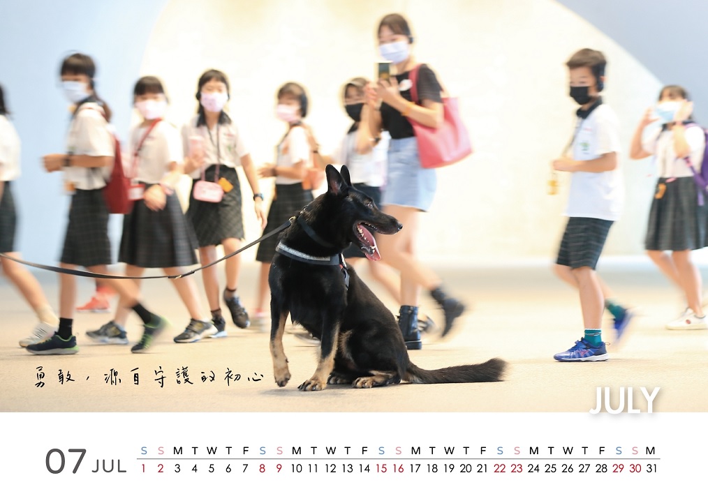 ▲1000本的限量警犬桌曆在民眾踴躍參與下,迅速販賣一空 (圖/台中市警察局 提供)