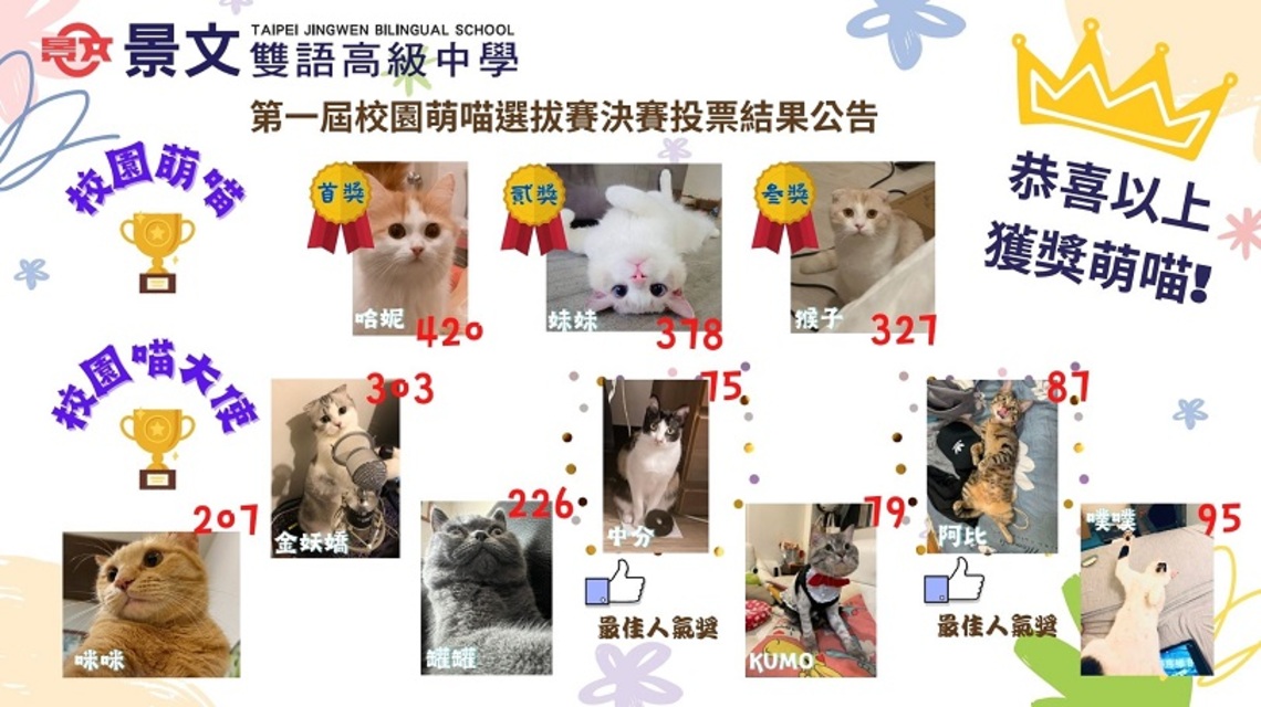景文高中第一屆校園萌喵選拔 英國長毛貓哈妮獲校園萌喵第一名 米克斯中分、阿比同獲最佳人氣獎