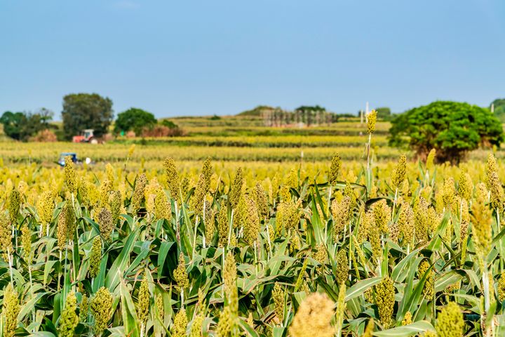 金門離島觀光資源豐富,風土滋味迷人。 圖:shutterstock/來源