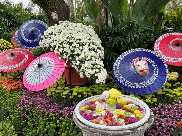 日本和傘搭配菊花的佈置更添濃濃日本味.jpg