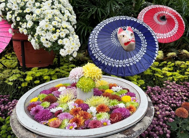 「菊手水」的佈置吸引眾人目光.jpg
