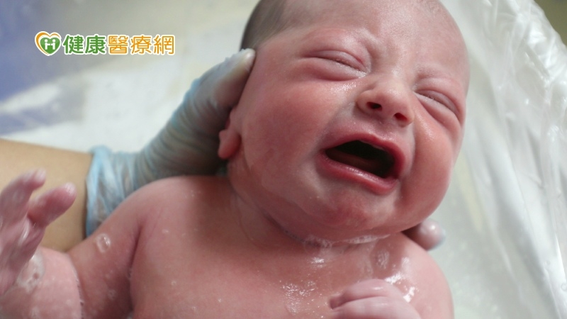 少子化危機!政府補助不孕治療 三代試管懷孕率破9成