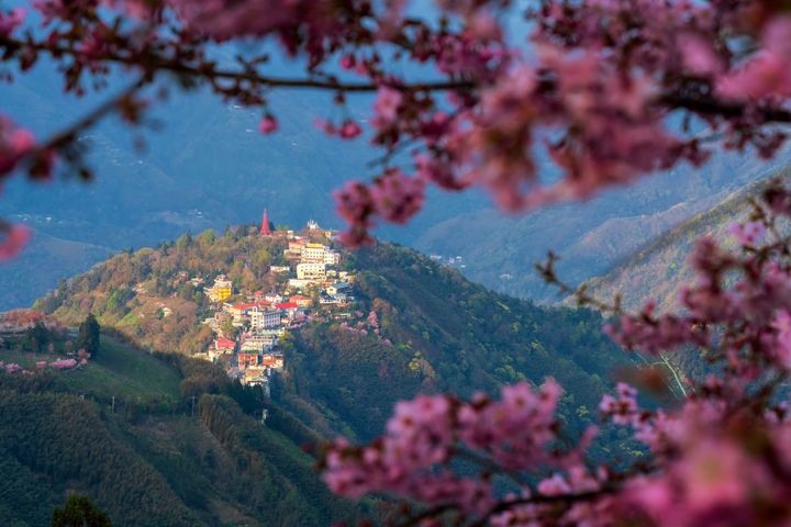 透過攝影師之眼,看見北橫不同角度的美。 圖:桃園市政府風景區管理處/提供