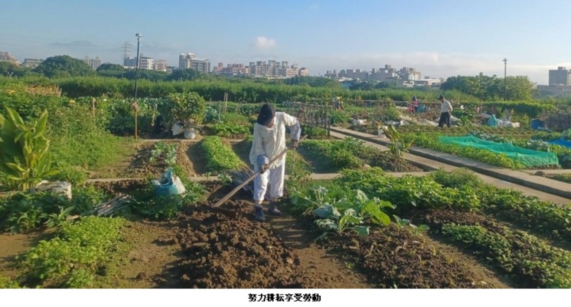 樂活農園1/4開放報名 歡迎大家來當都市農夫