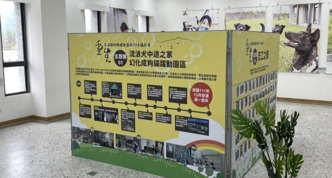 花蓮縣狗貓躍動園區啟用周年  花蓮縣府辦理「重生Reborn攝影展」
