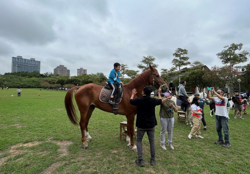 日前,東海大學舉辦馬術體驗營,吸引家長帶著小孩前來騎乘體驗。(圖/東海大學提供)