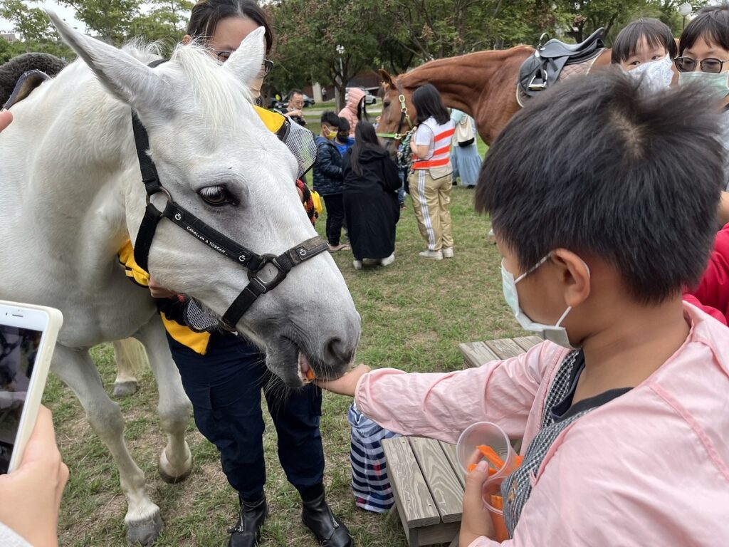 日前,東海大學舉辦馬術體驗營,吸引家長帶著小孩前來騎乘體驗。(圖/東海大學提供)