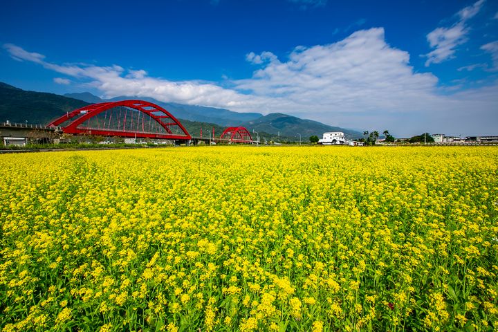 花蓮舉辦「印象花蓮,由你來定義」智慧站牌攝影比賽,用獨特視角拍出新風景。 圖:花蓮縣政府建設處/提供